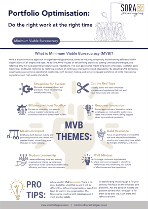 Minimum Viable Bureaucracy Minimum Viable Bureaucracy