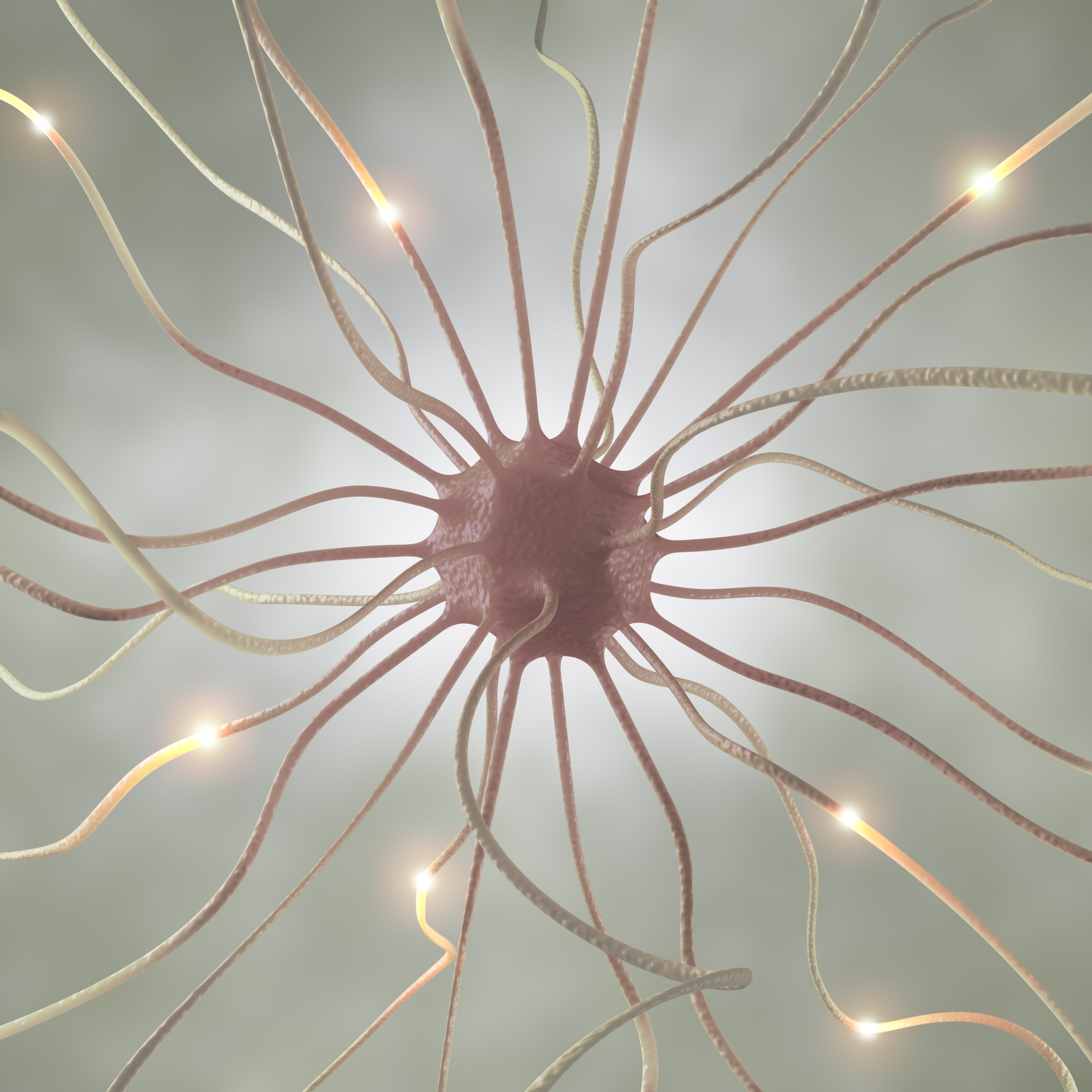 nerve-cell-pulse-2023-11-27-05-23-20-utc